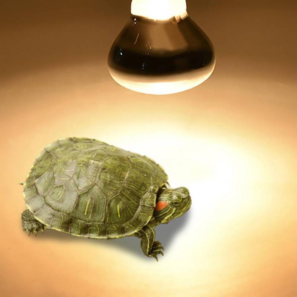 Amphibians Heat Lamp Heater Ha - огляд і ціна Basking Bulb Halogen