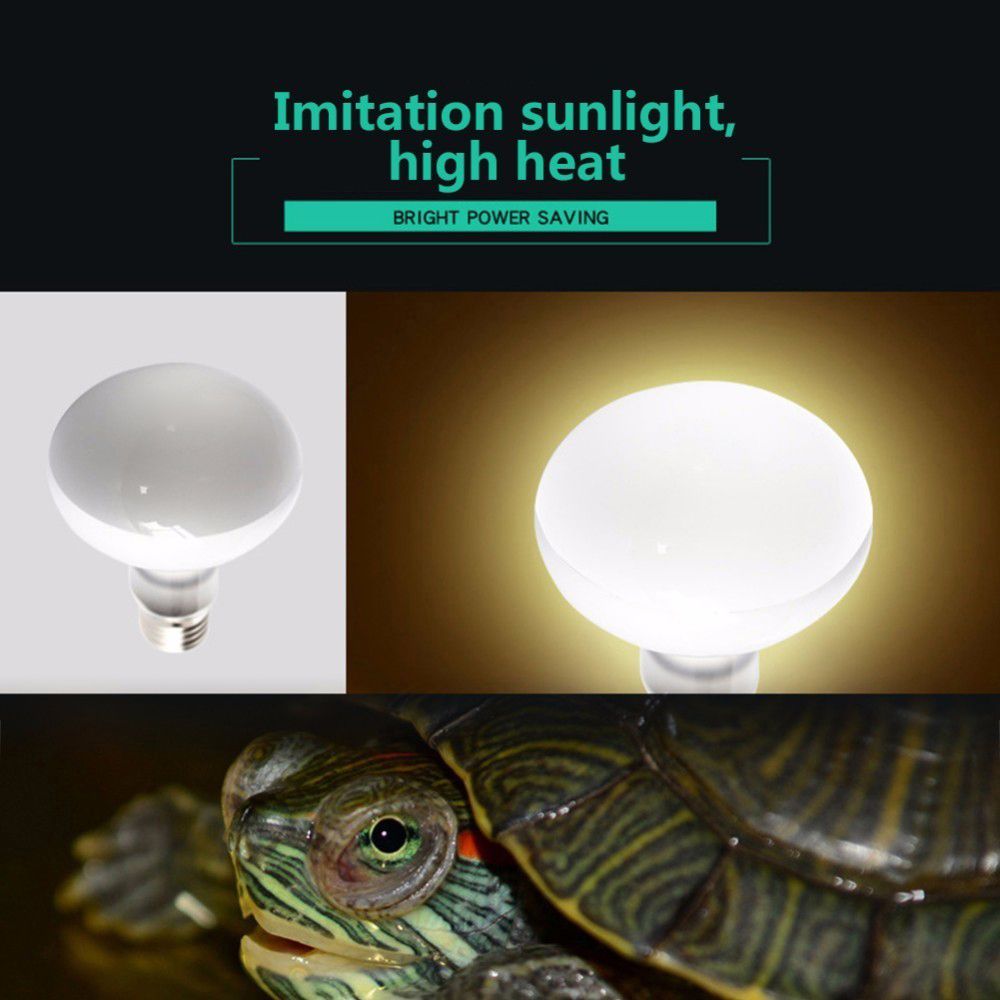 Amphibians Heat Lamp Temperatu - огляд і ціна Basking Bulb Halogen