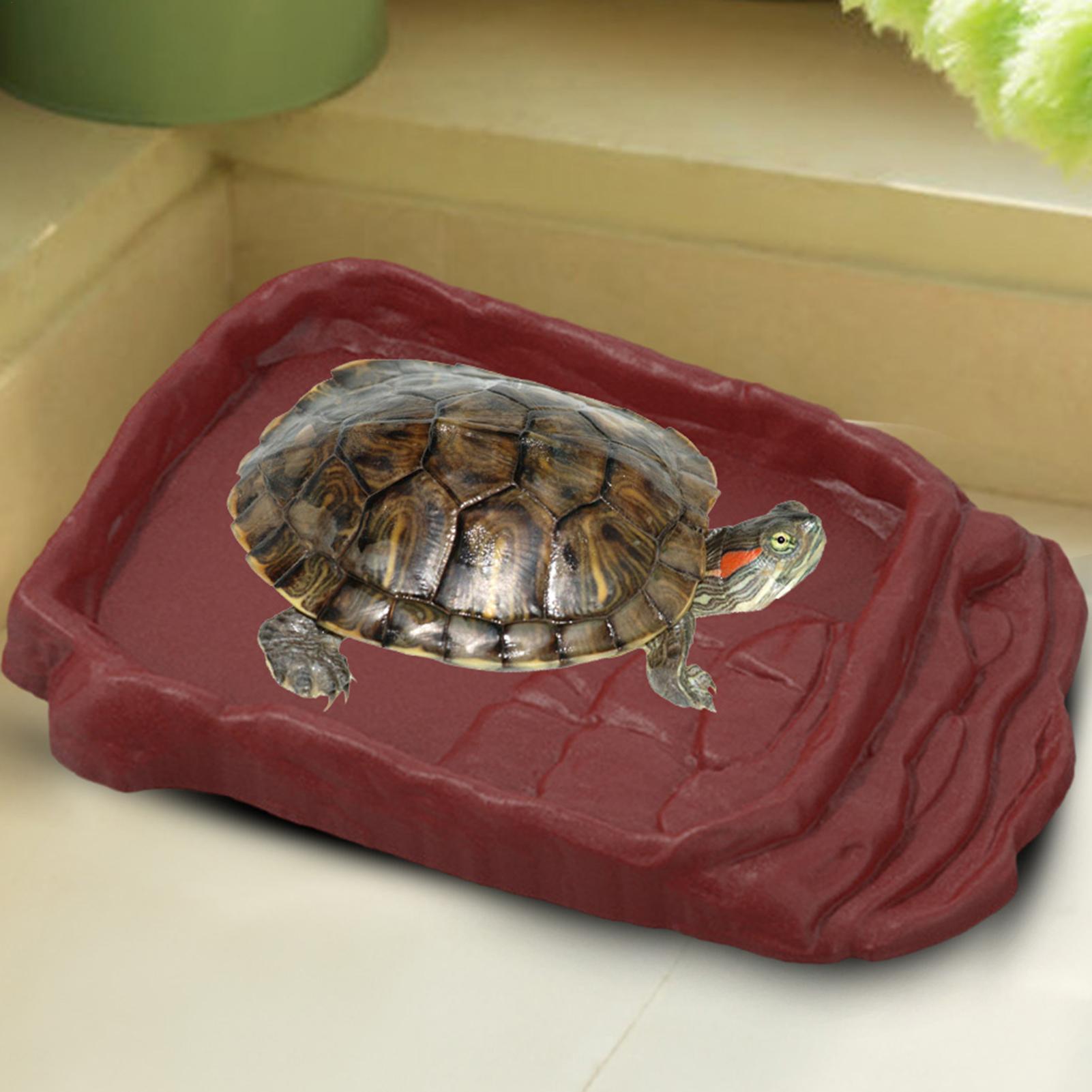 Anti-Slip Ladders Reptile Bowl - огляд і ціна Water Dish Reptile